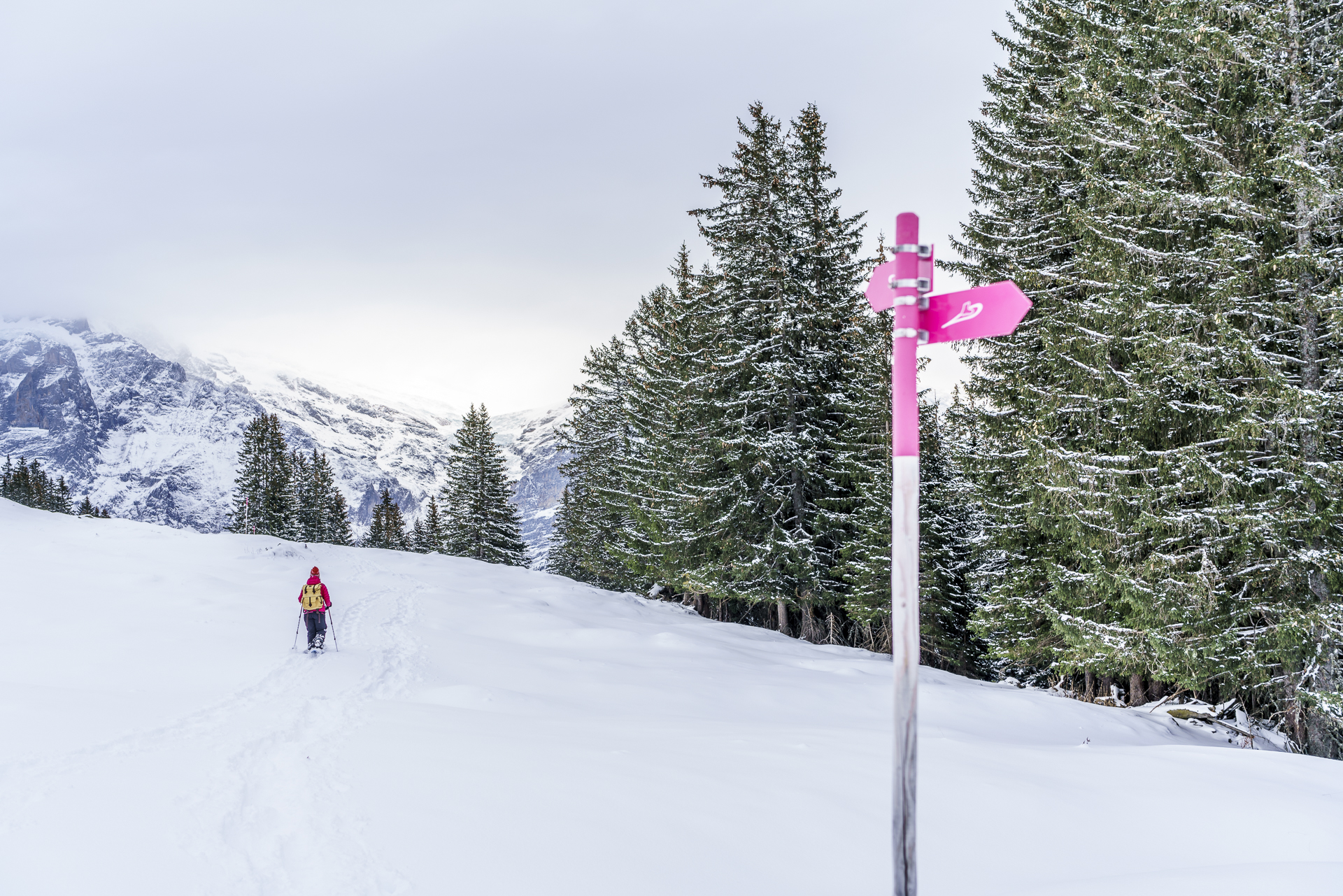 Panoramatrail Grindelwald