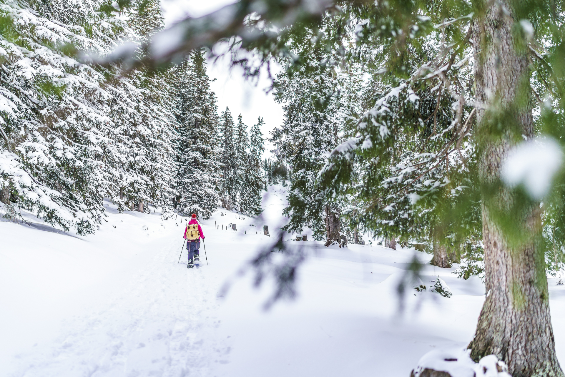 Schneeschuhwandern