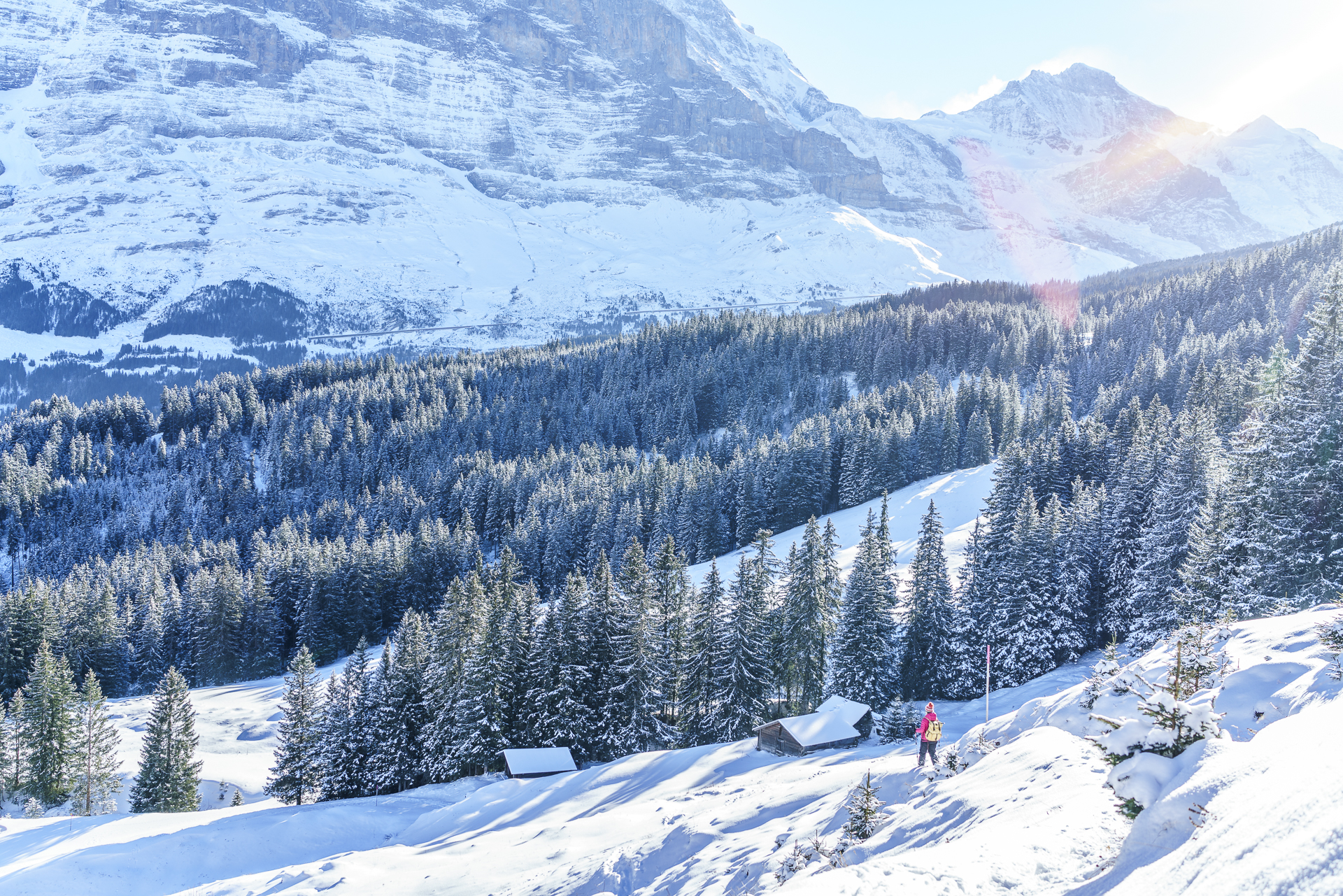 Schneeschuhwanderung Grindelwald Maennlichen