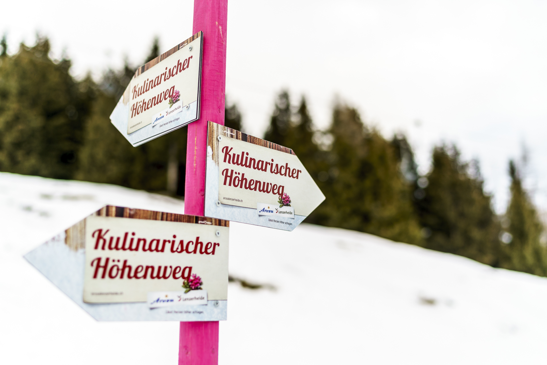 Kulinarischer Höhenweg Lenzerheide