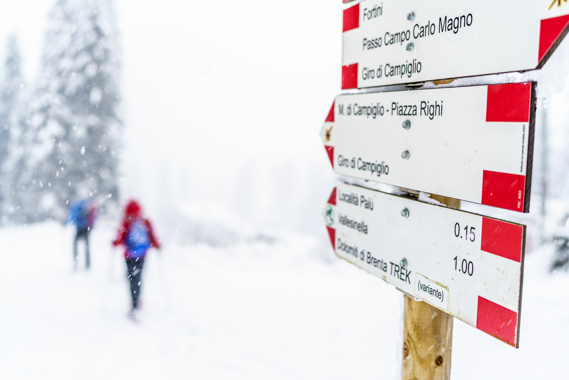 Schneeschuhlaufen Trentino