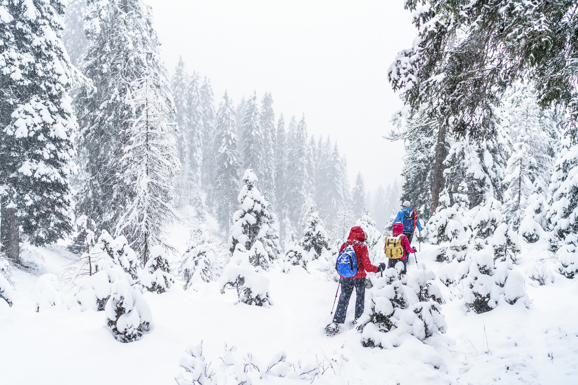 Trentino Winter Schneeschuhlaufen