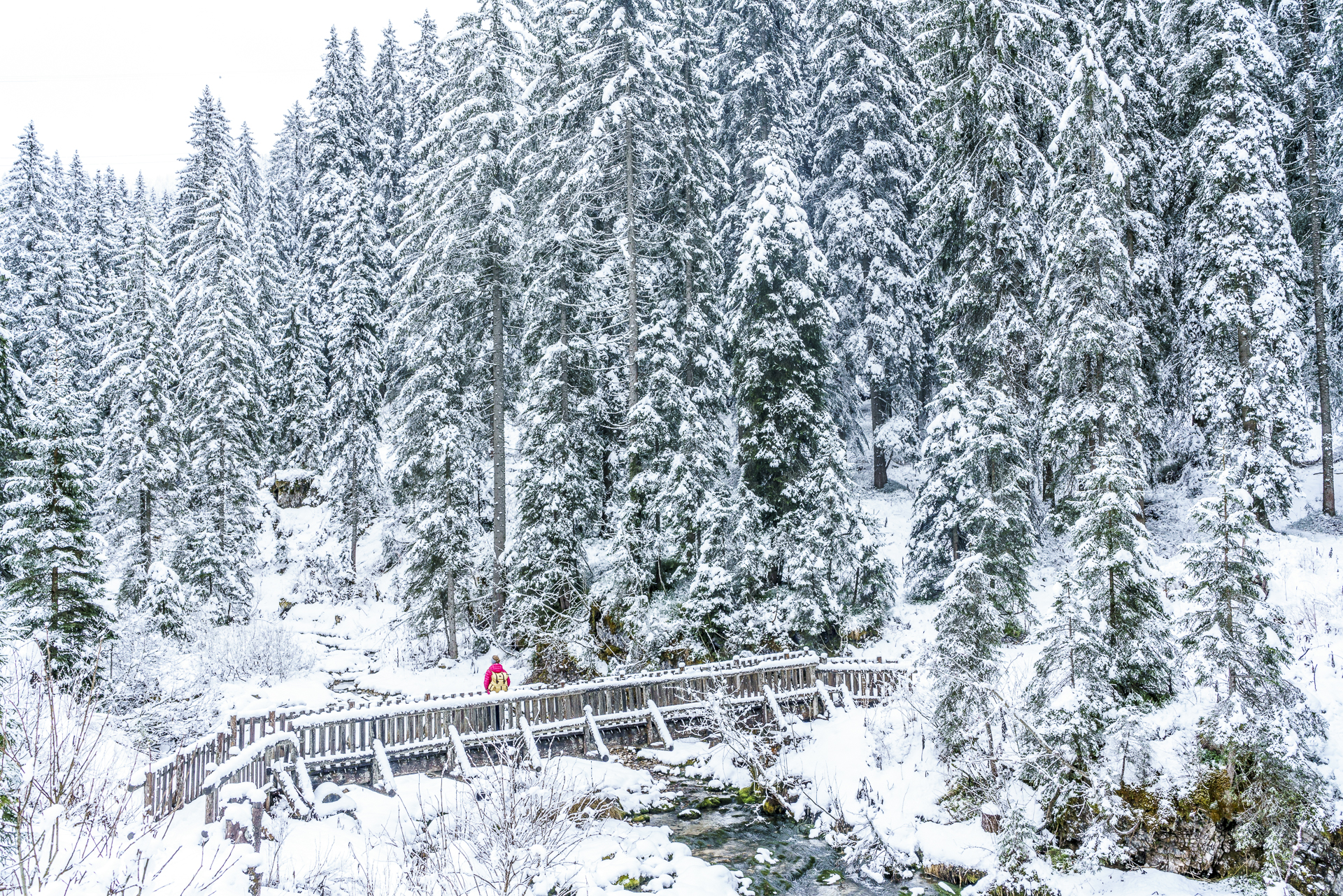 Valsinella Trentino