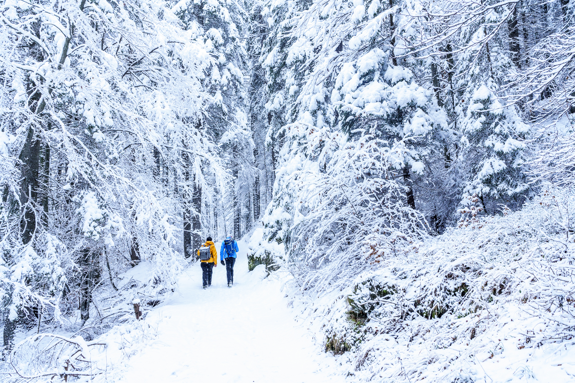 Winterwandern Vallesinella Trentino