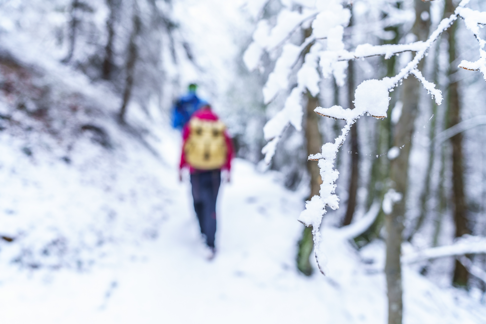 Winterwandern Valsinella