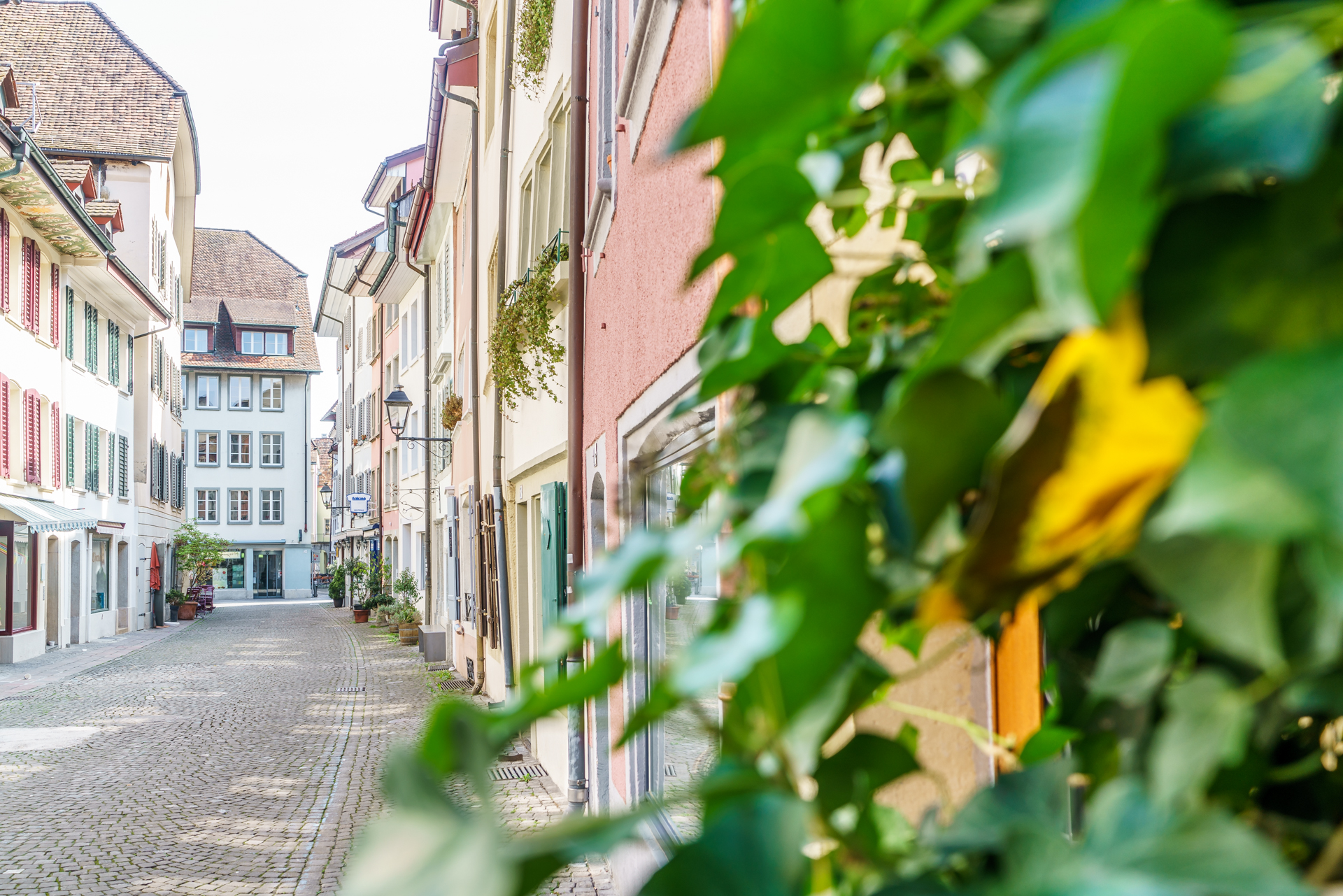 Aarau Altstadt