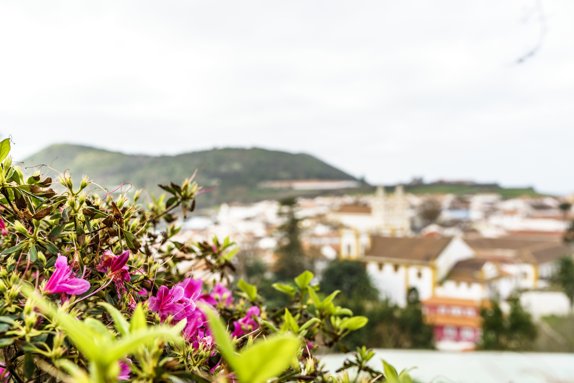 Angra Blumen Terceira