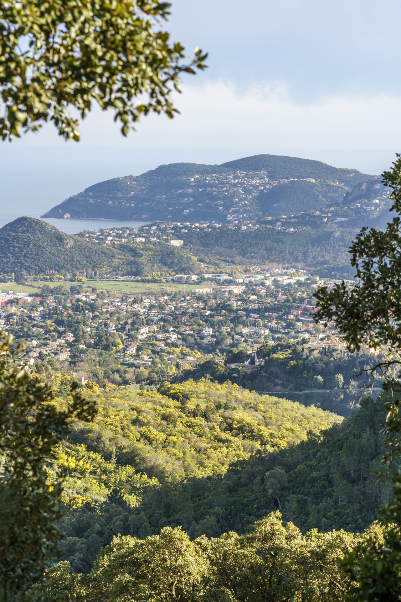 Massif du Tanneron Mandelieu