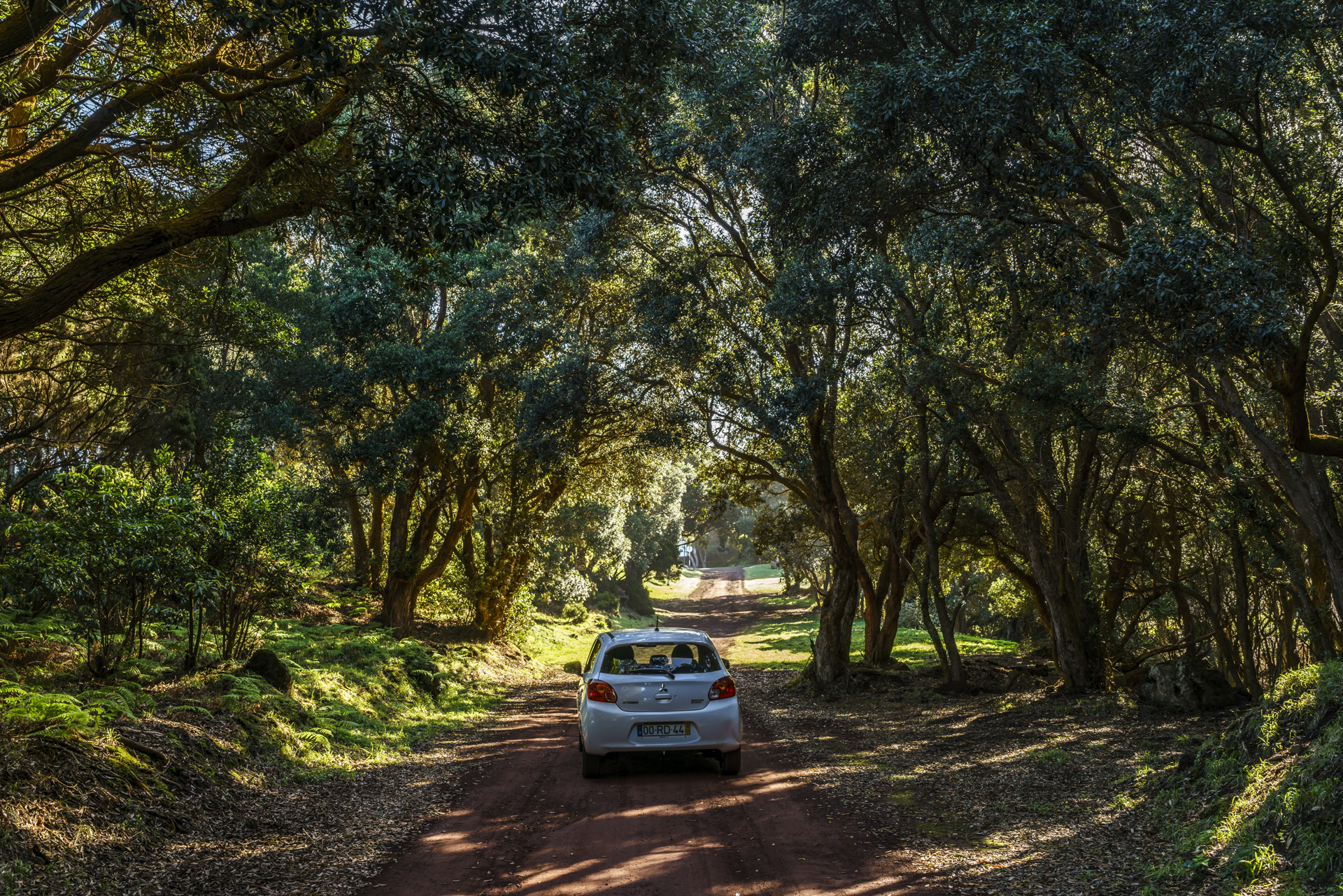 Reserva Florestal de Recreio da Serrata