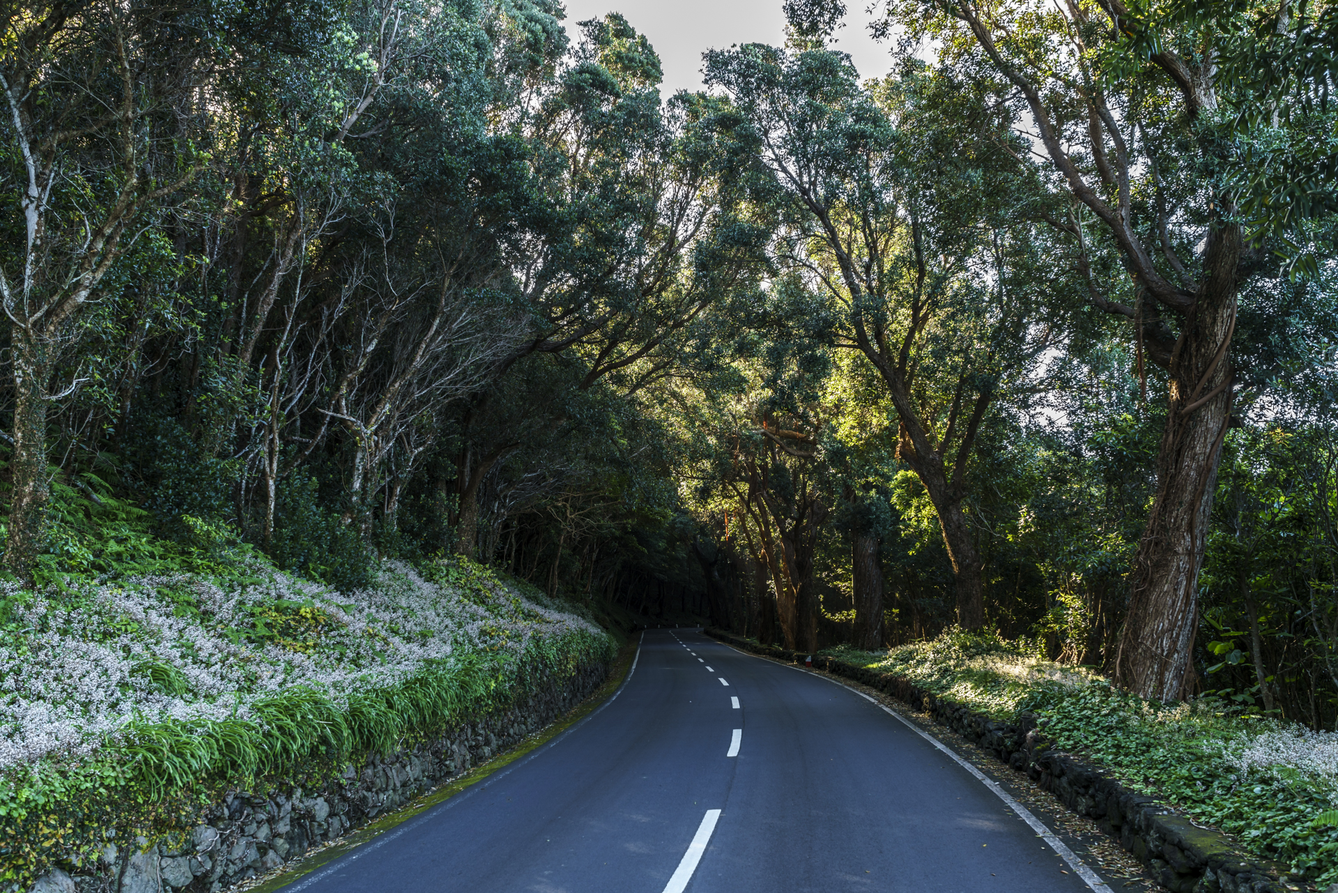 Terceira Azoren Roadtrip