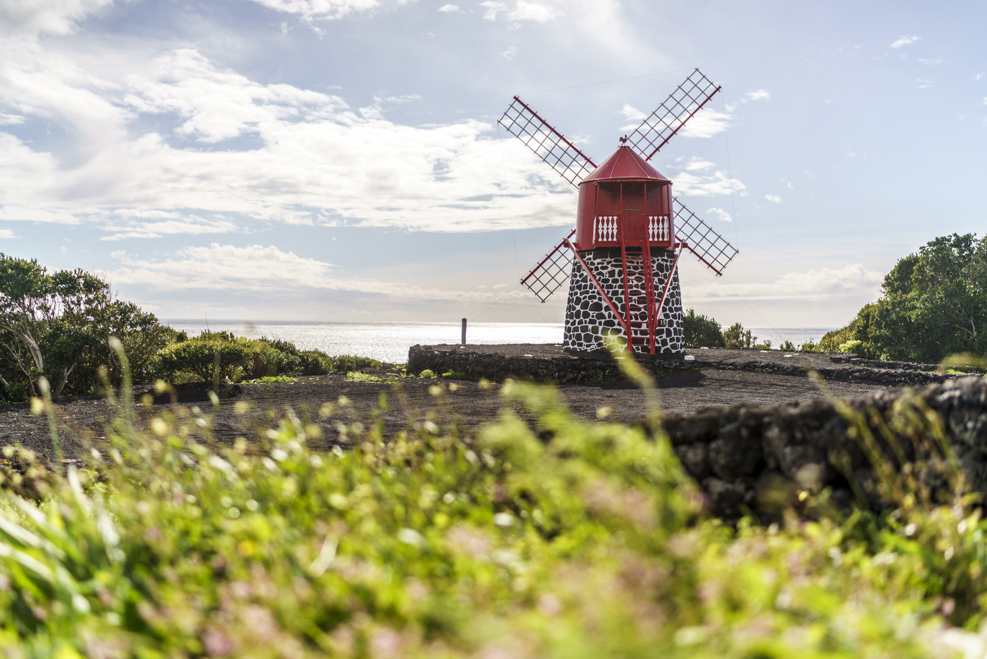 Pico Alte Windräder