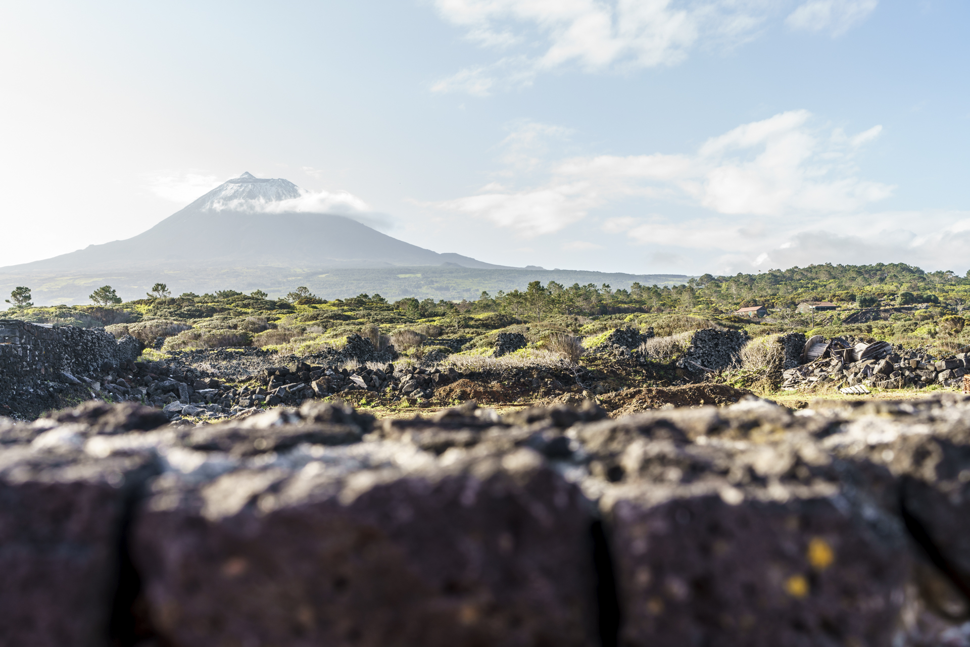 ZOna de Adegas Pico