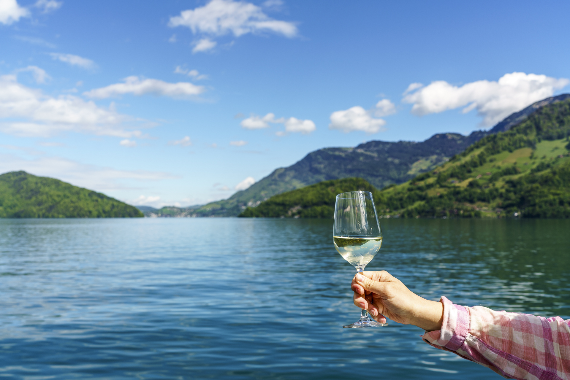 Apero Weisswein Vierwaldstättersee