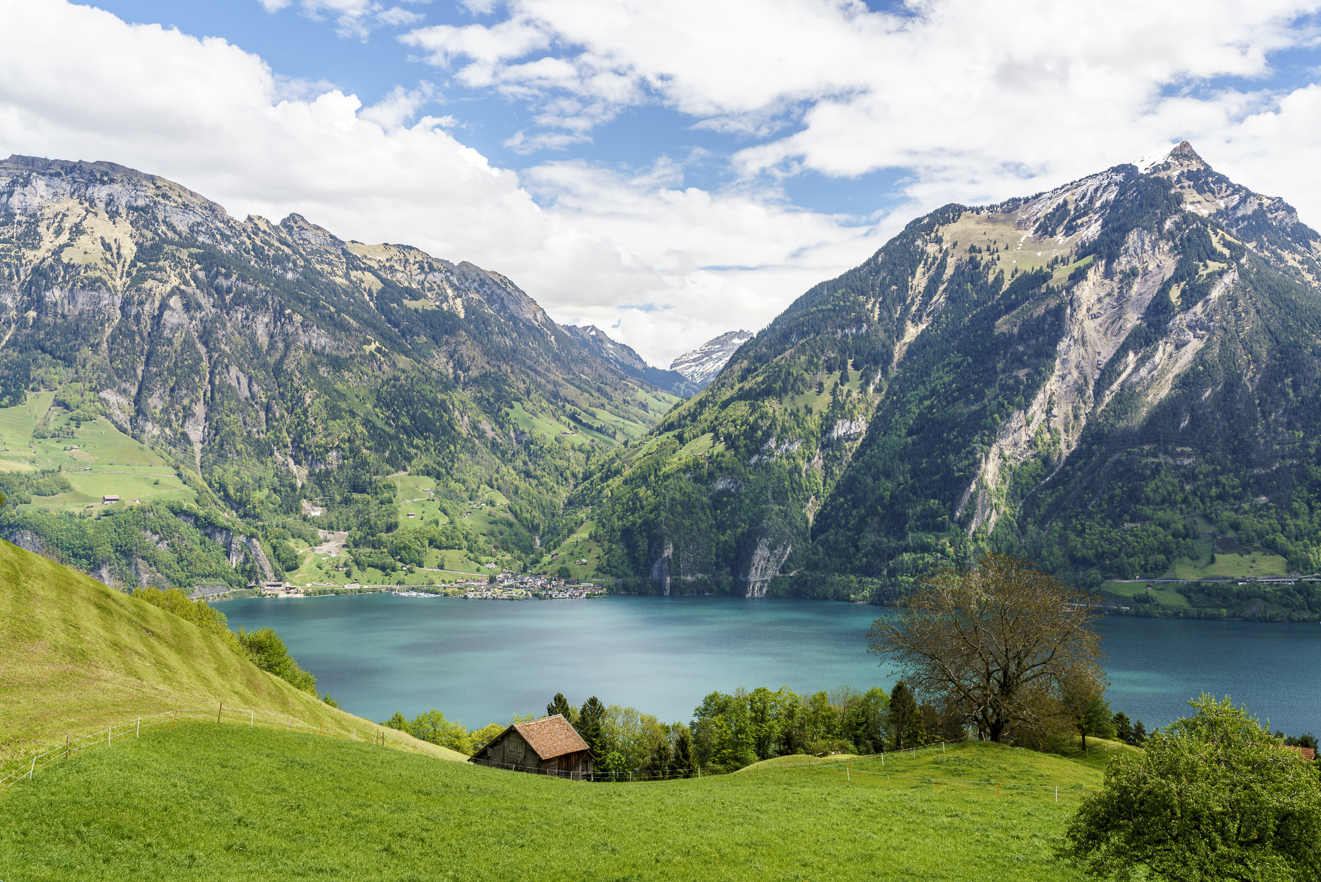 Aussicht Bauen Sisikon