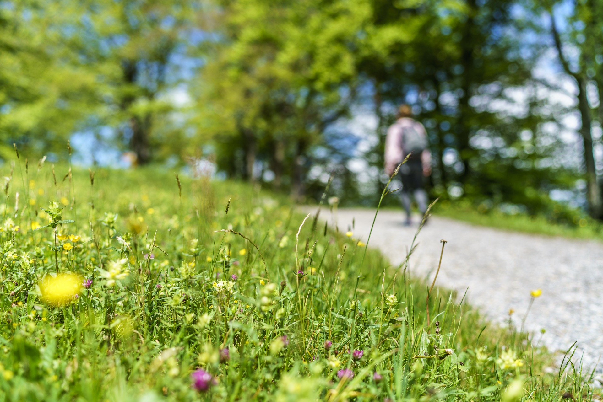 Weg der Schweiz