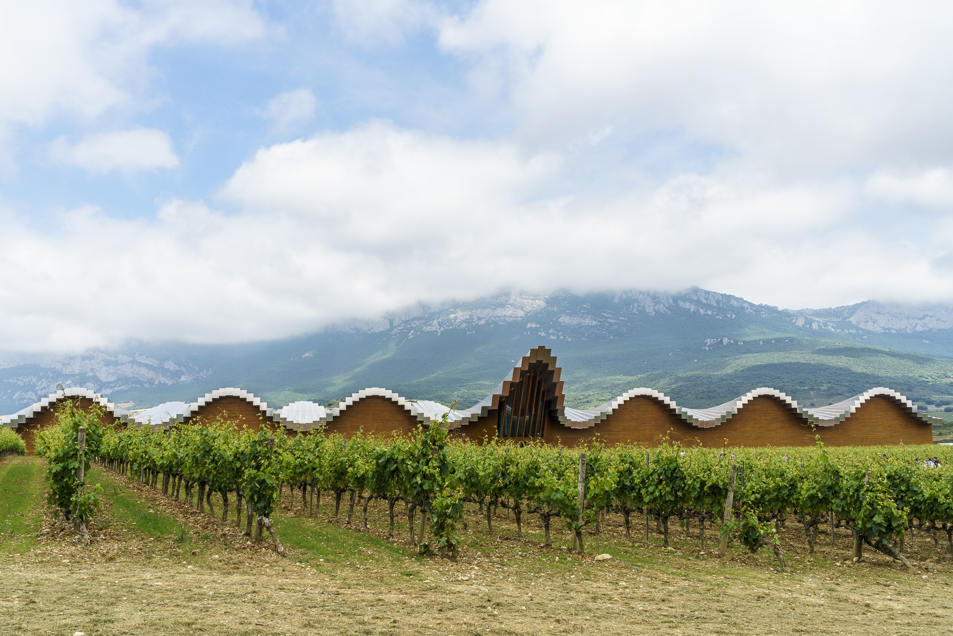 Laguardia Bodegas Ysios