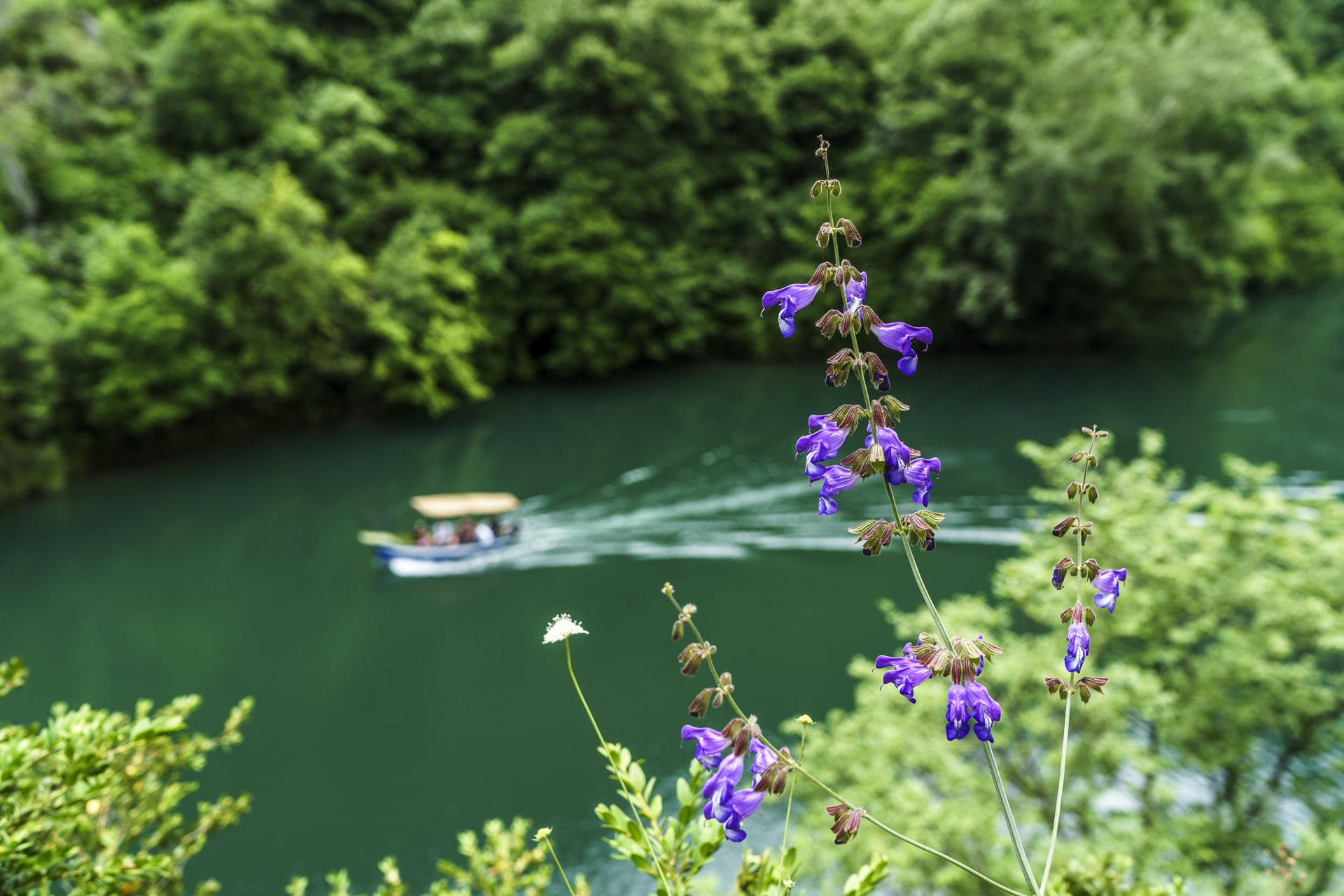 Matka Canyon Bootsfahrt