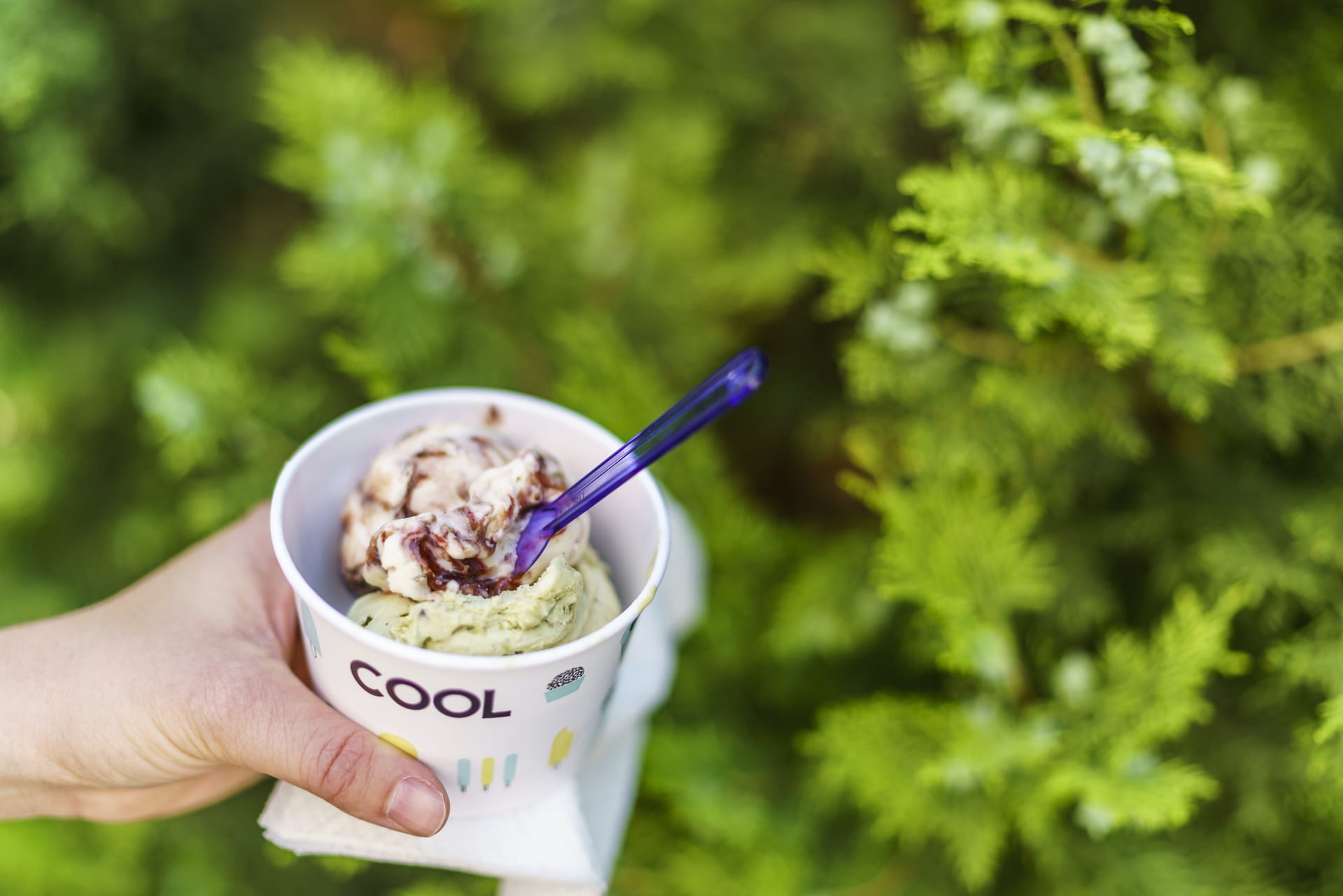Palma Icecream