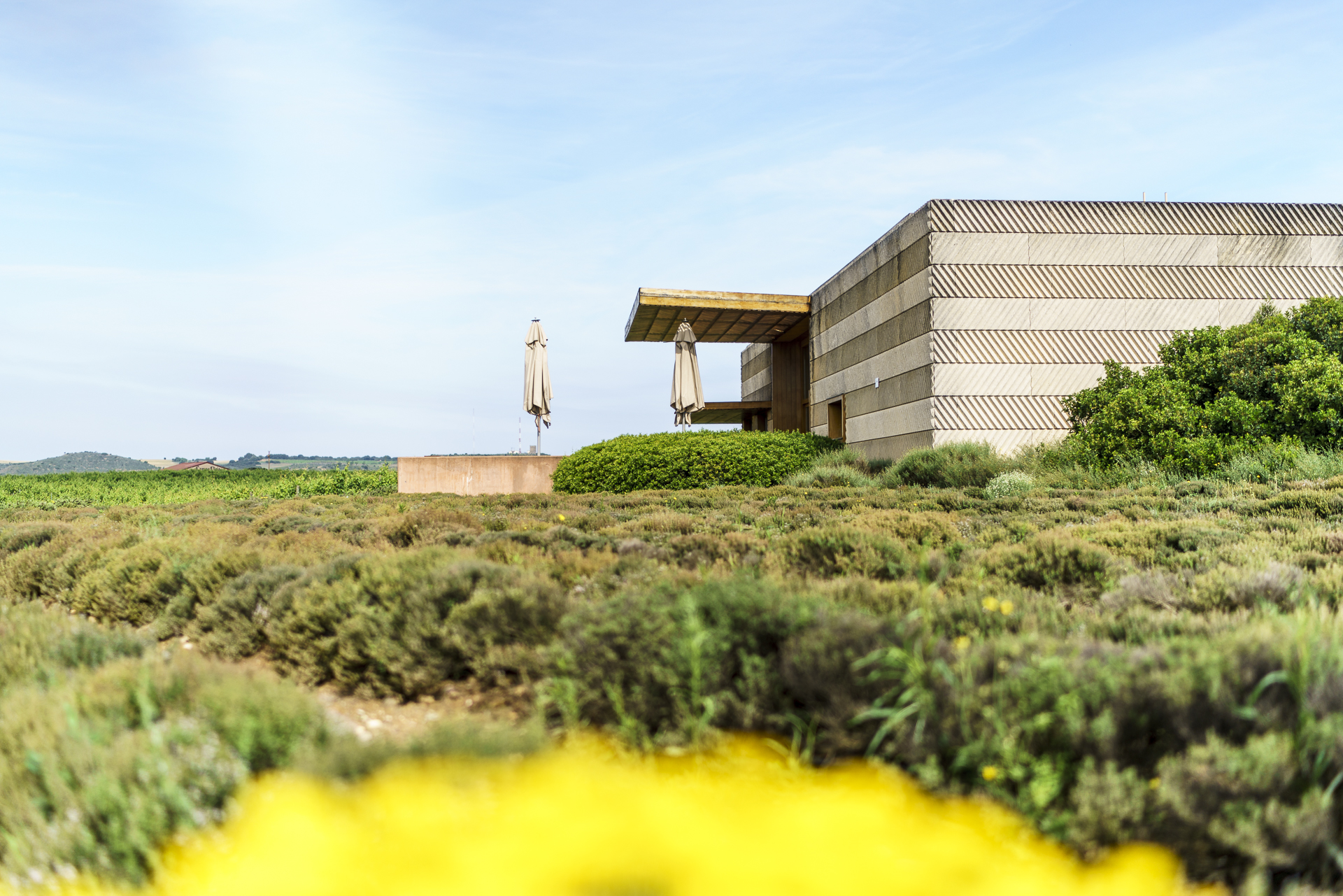 Bodega Alcorta Logrono Architektur