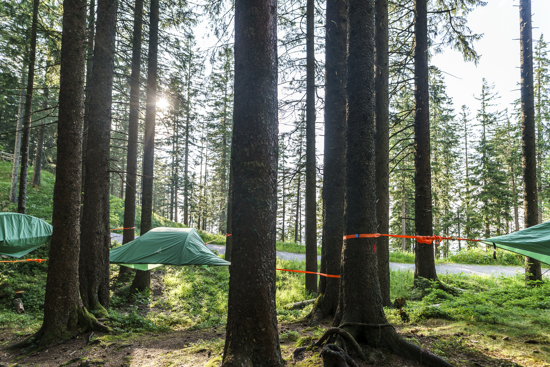 Tree Tents Fränkmüntegg Pilatus