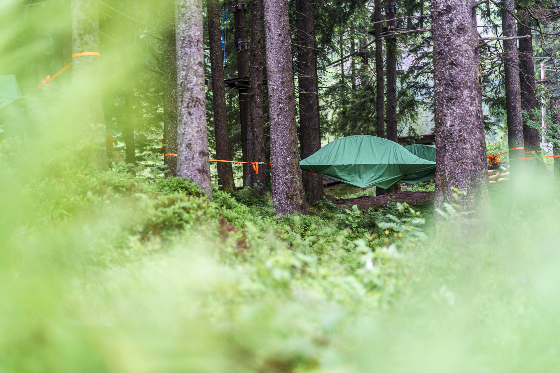 Tree Tent Baumzelte Pilatus