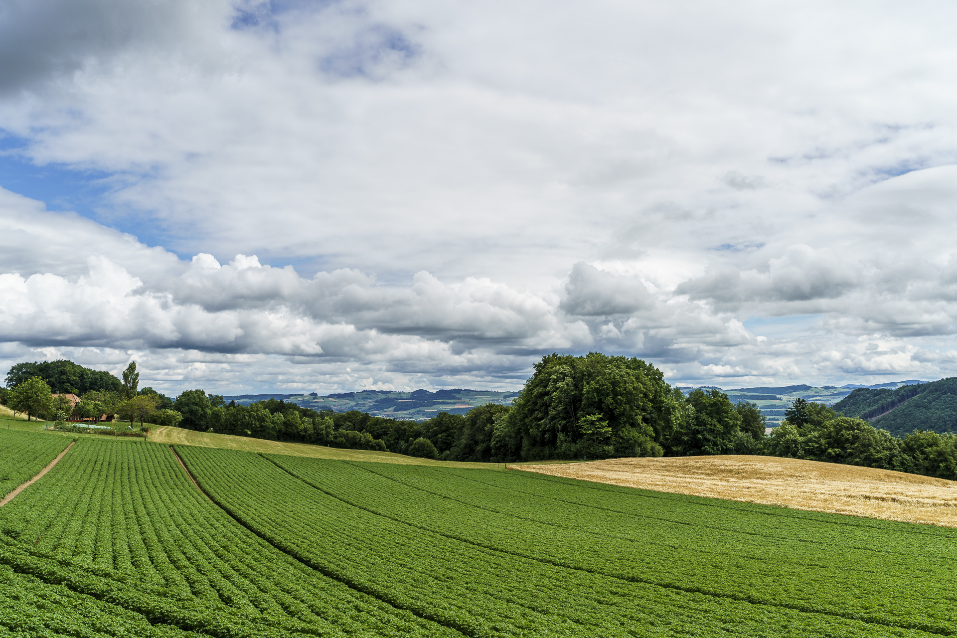 Gürbetal Landschaft