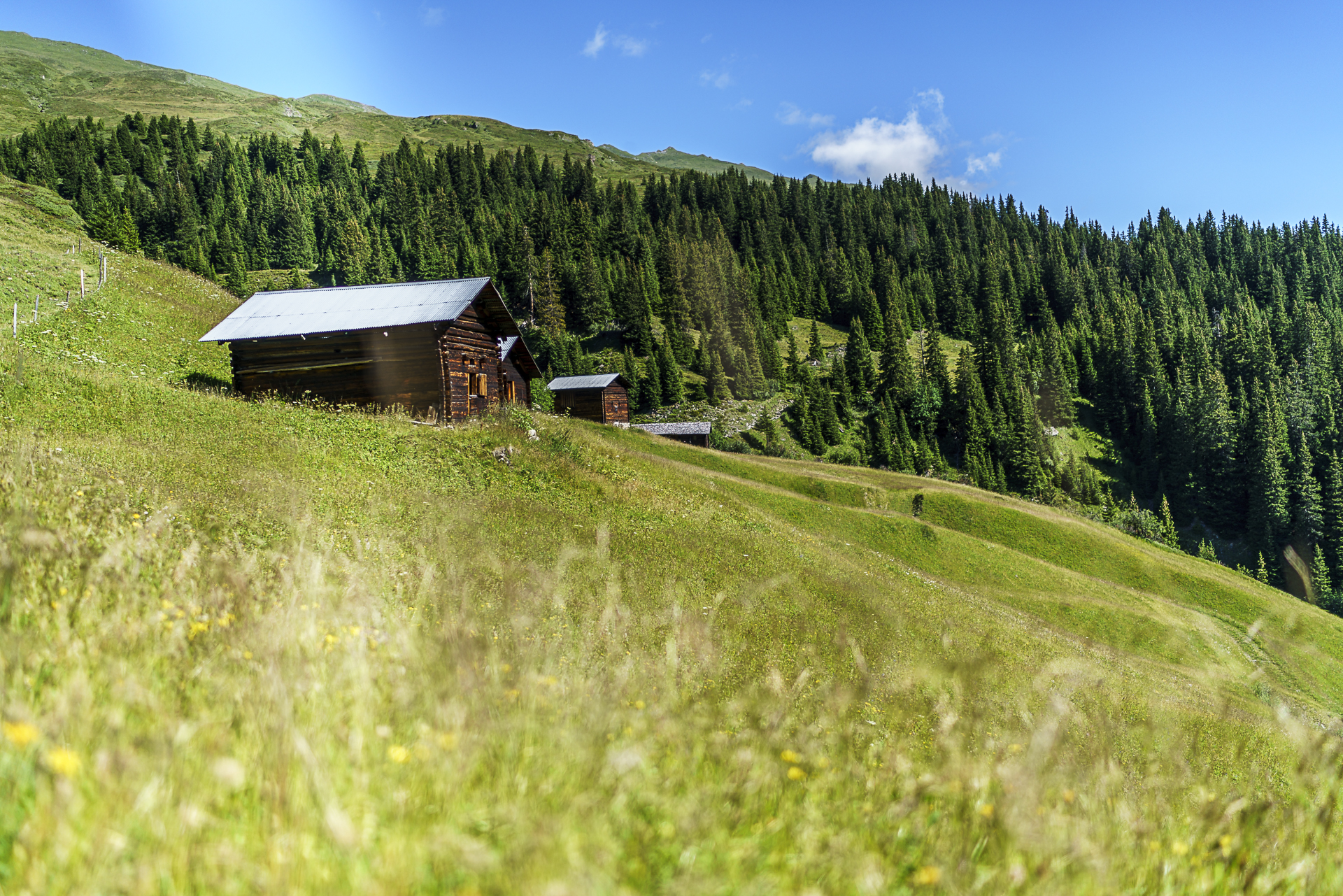 Walserweg Safiental Wandern
