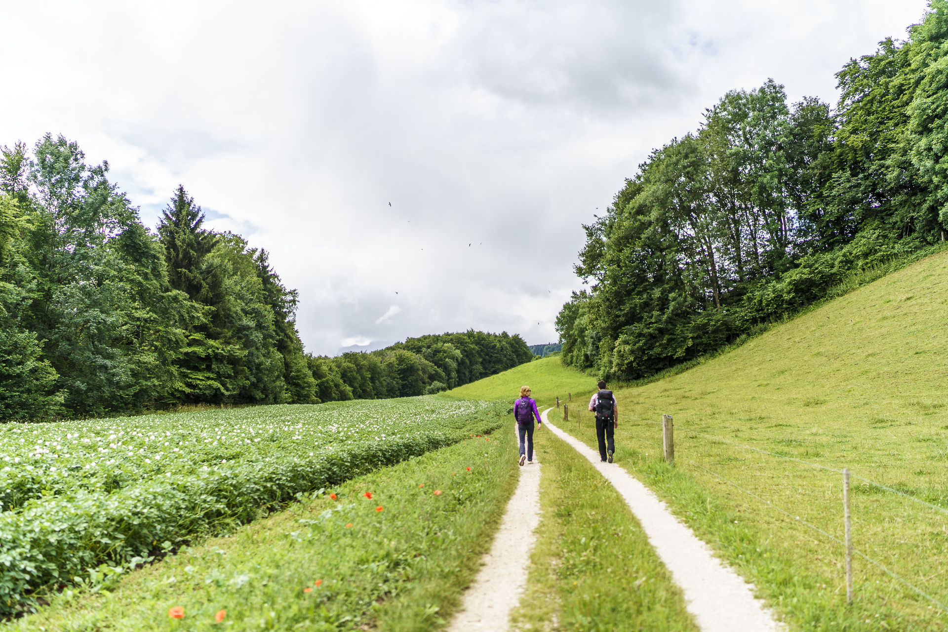 Wandern Gürbetaler Höhenweg