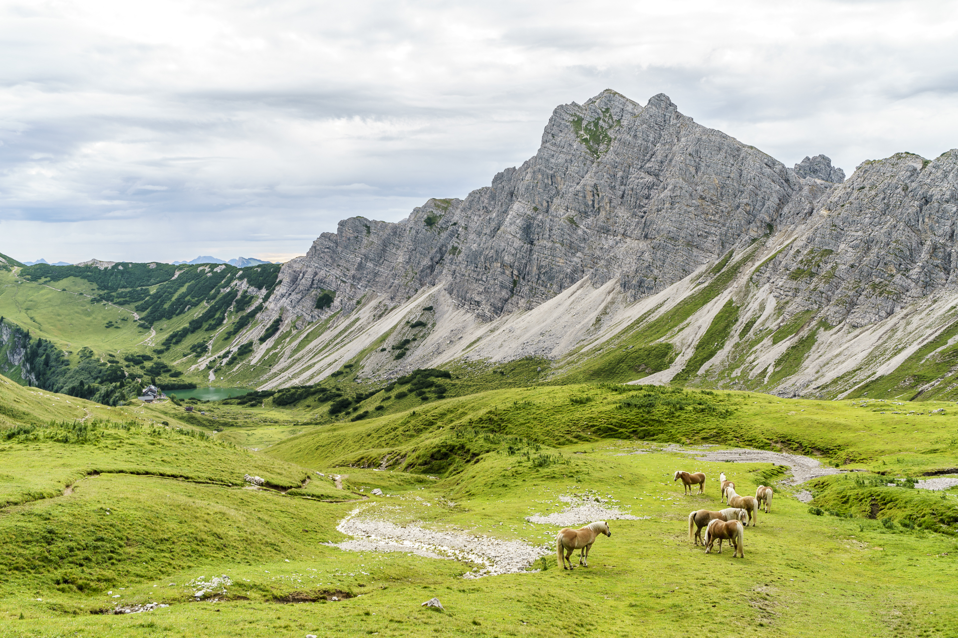 Aufstieg westliches Lachenjoch