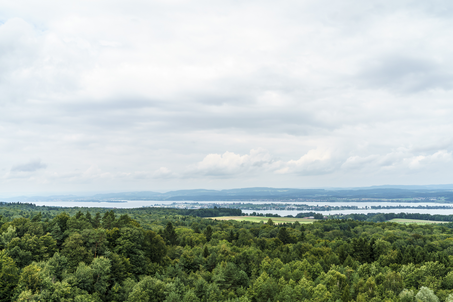 Aussicht Napoleonturm Wäldi