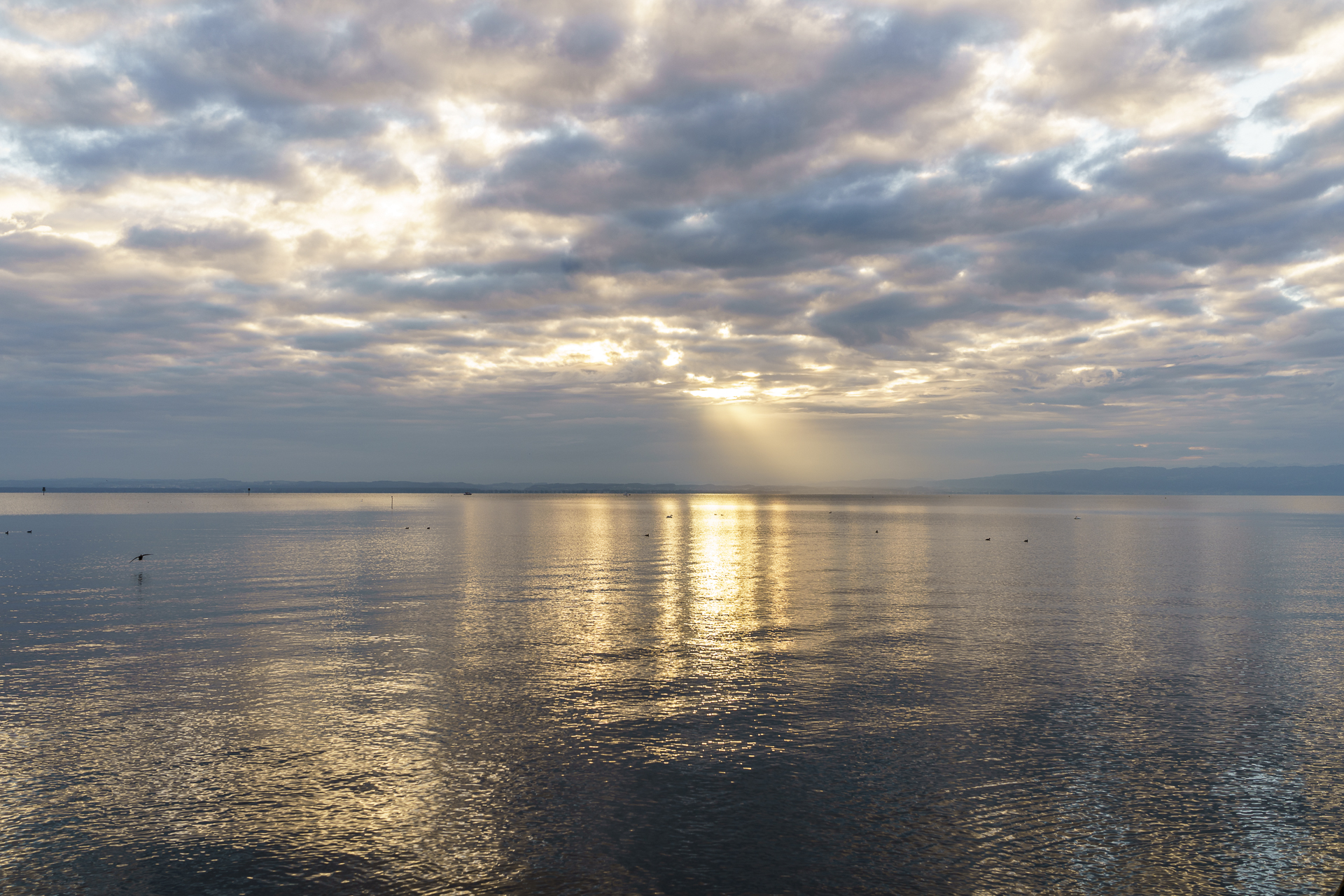 Bodensee Salmsach
