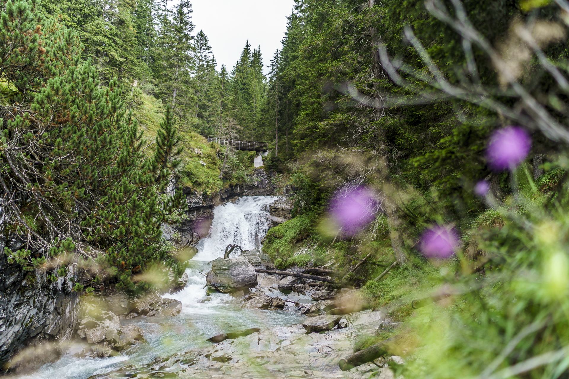 Jürg Conzetti Brücken Flimser Wasserweg