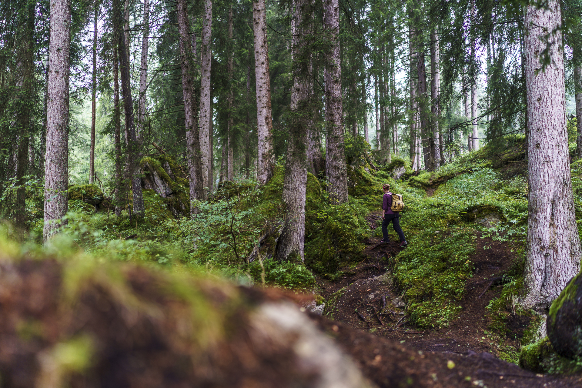 Flims Trutg dil Flem Wanderung