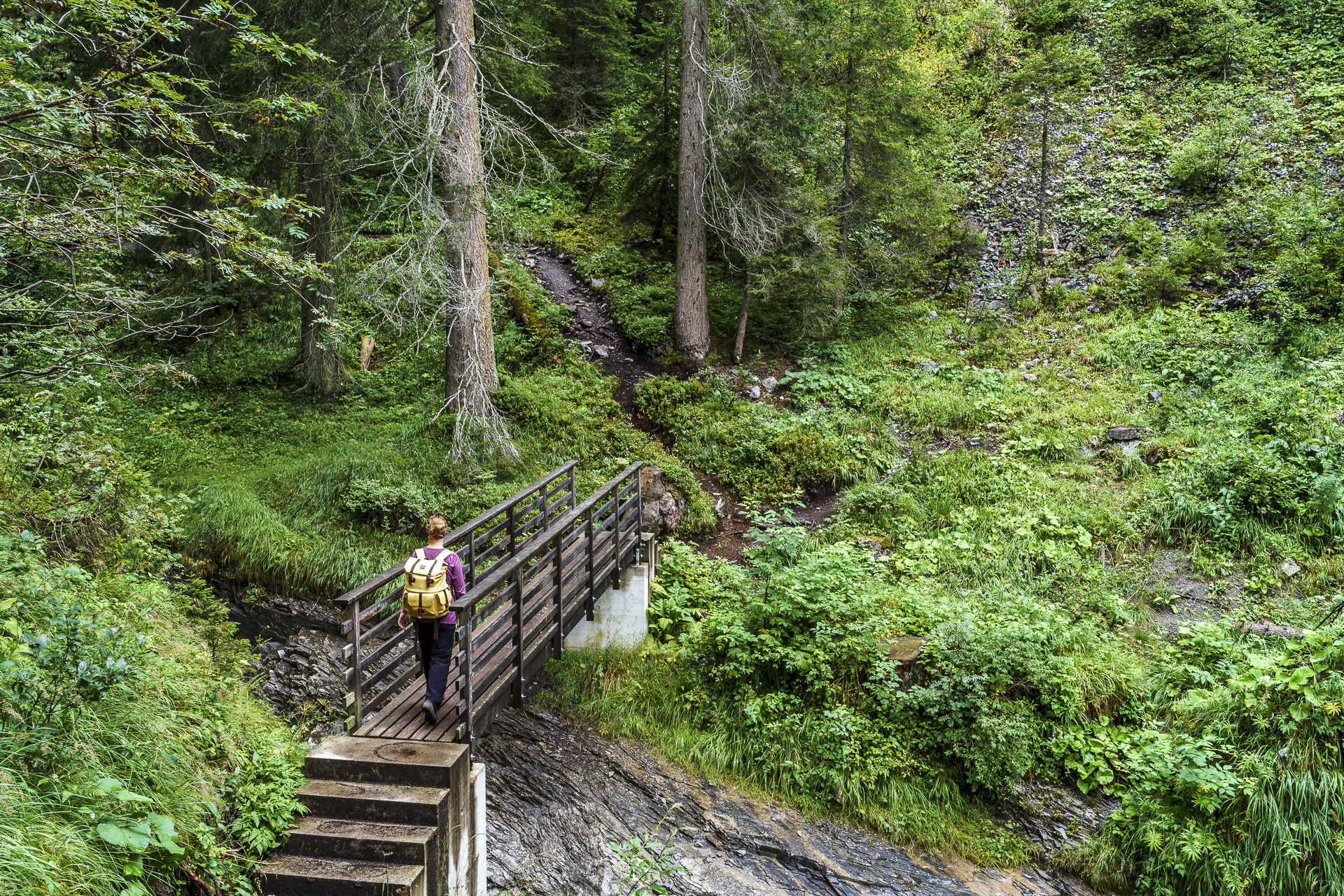 Flims Wasserweg Brücken