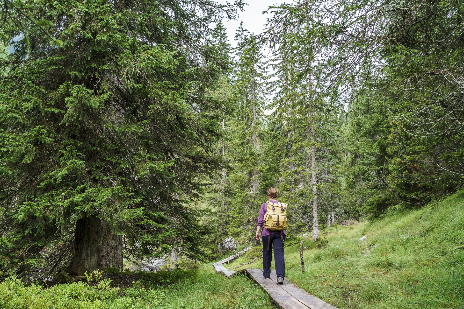 Flims Wasserweg Wanderung