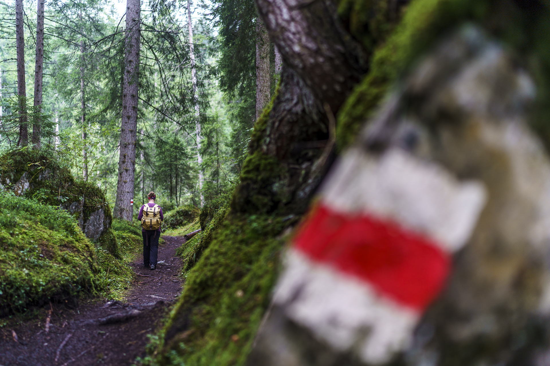 Flimser Wasserweg Wanderung