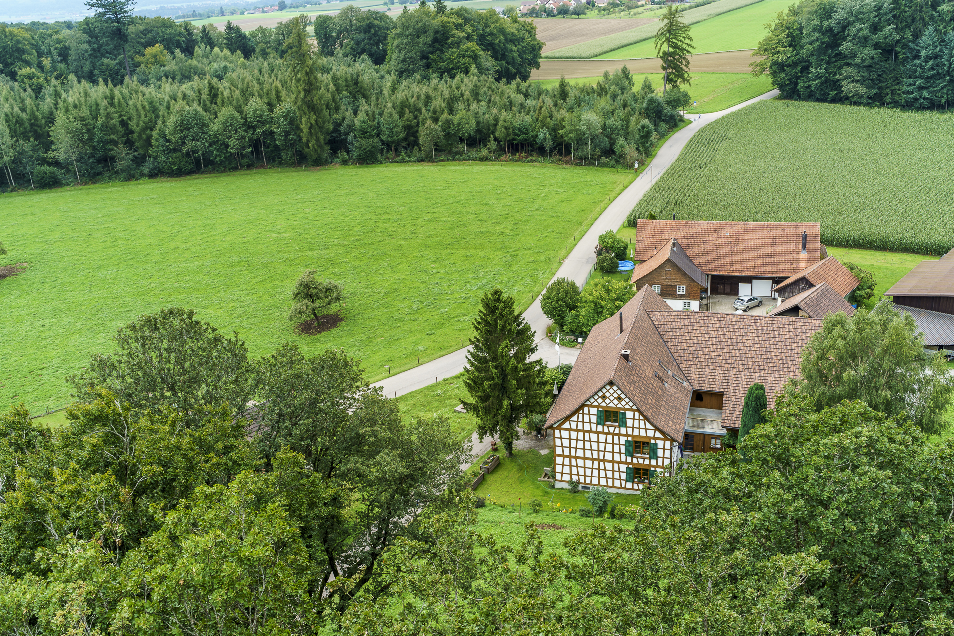 Hohrain Wäldi