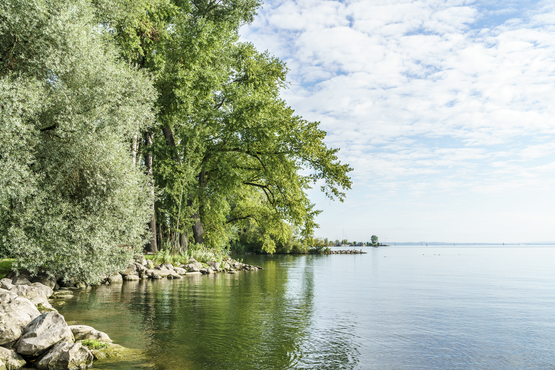 Salmsach Morgenstimmung Bodensee Ausflugstipps