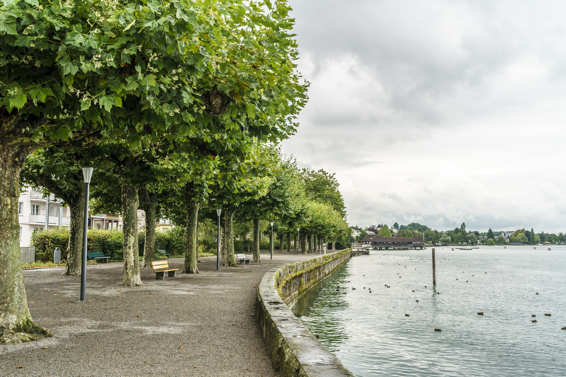 Uferpromenade Rorschach