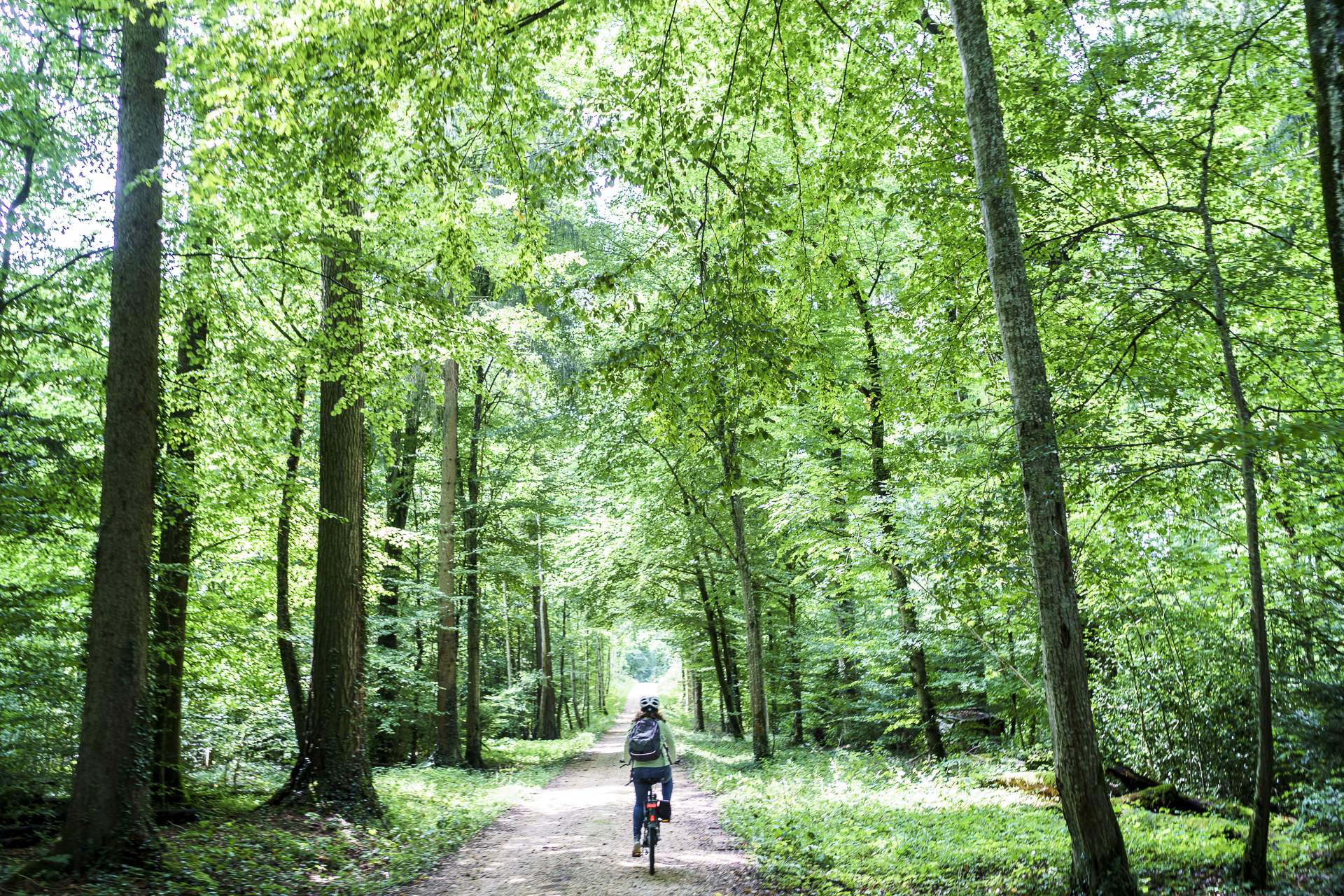 Velotour Bodensee