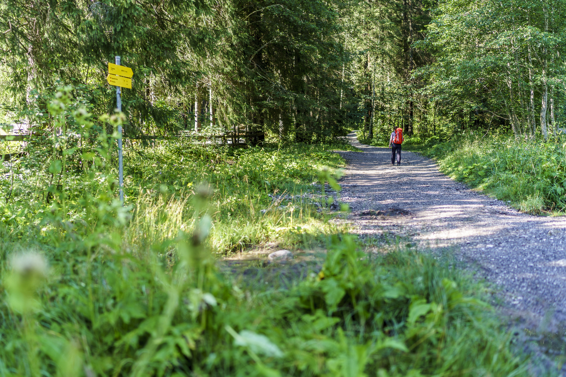 Wanderweg Tannheim Vilsalpsee