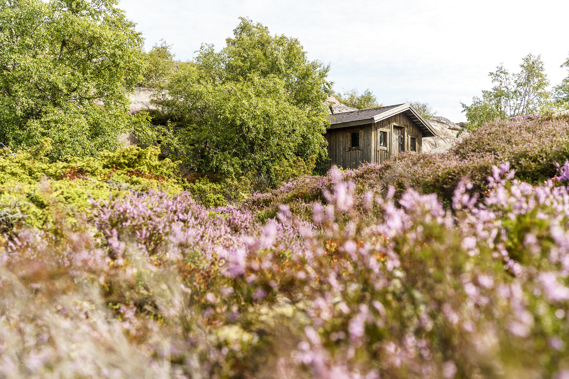 Källskär Mumin Insel