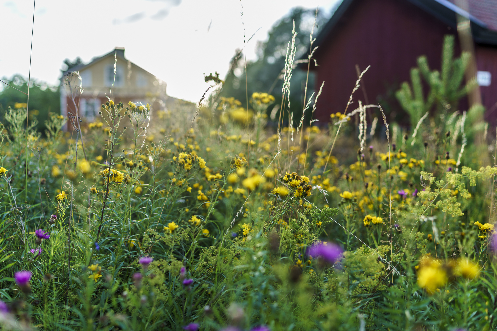 Finnland Korpo Sommer