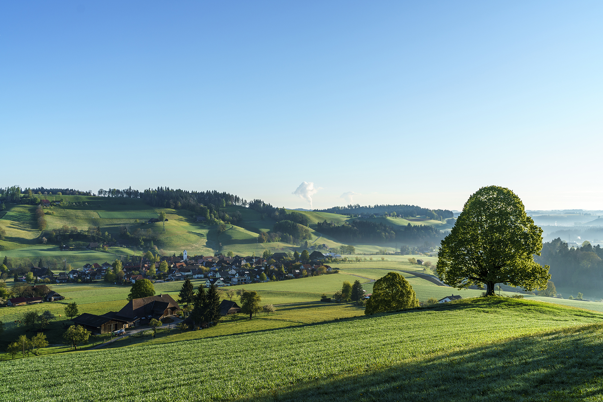 Morgenstimmung in Dürrenroth
