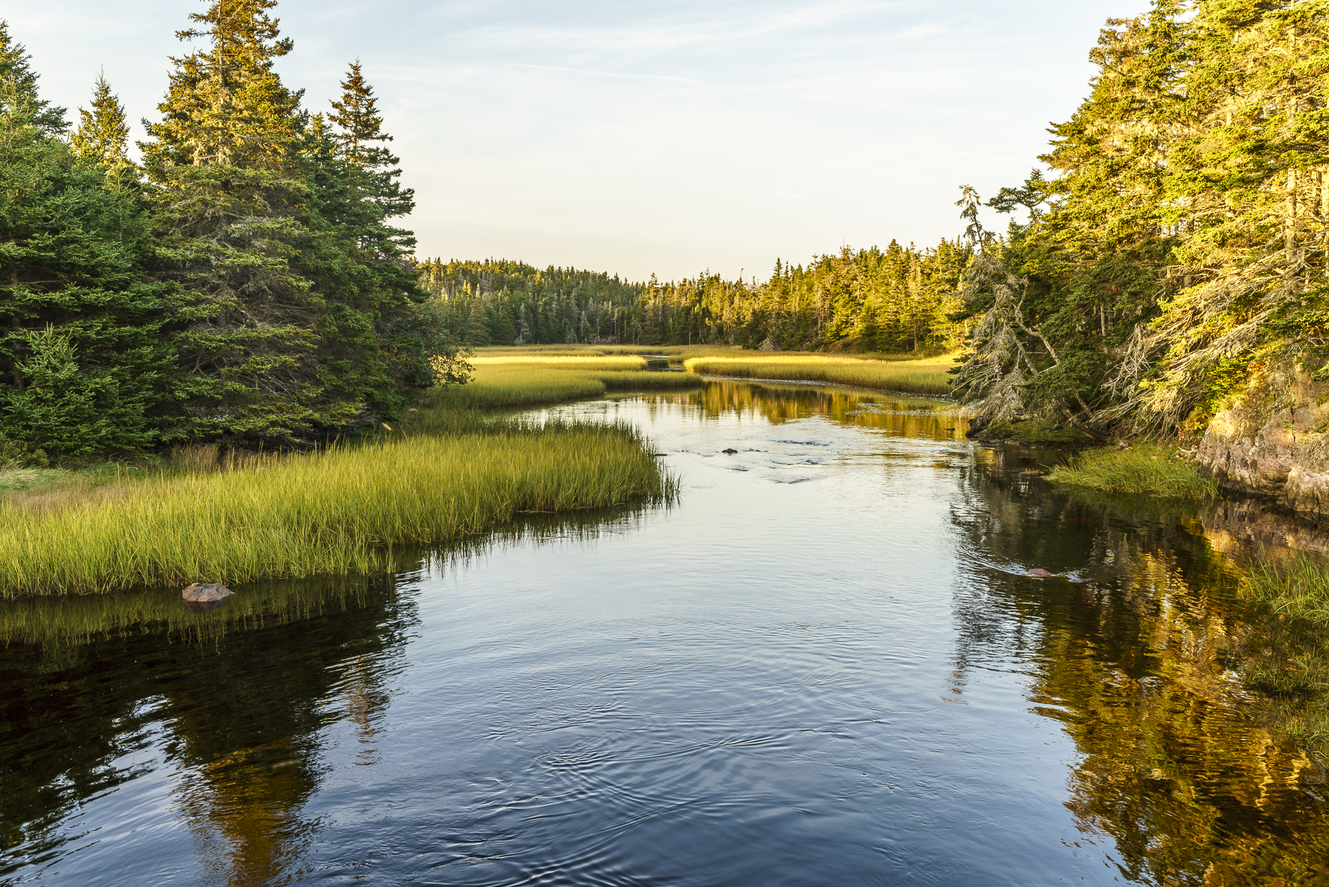 Cape Breton Natur