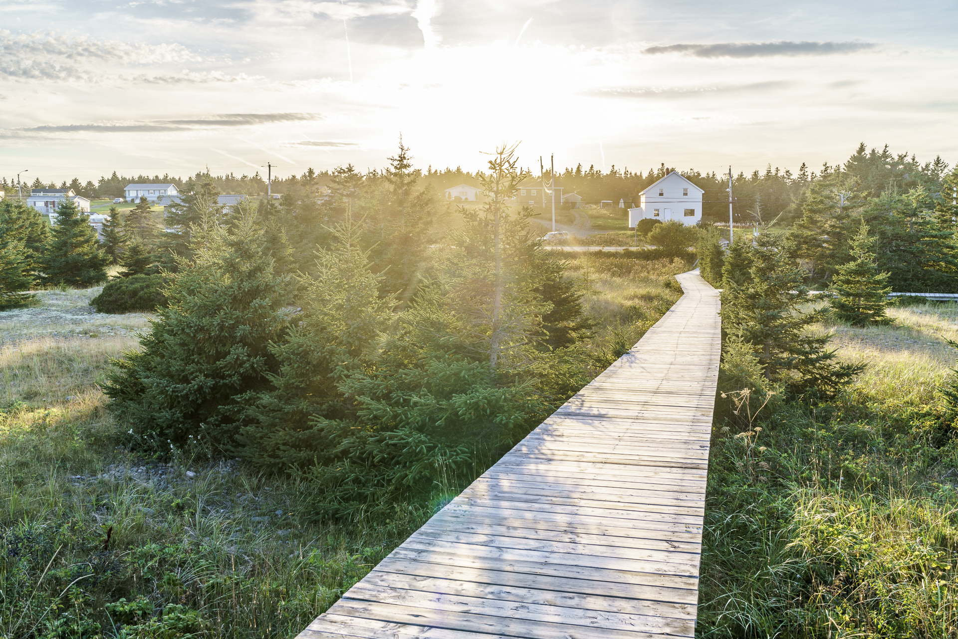 Cape Breton Light