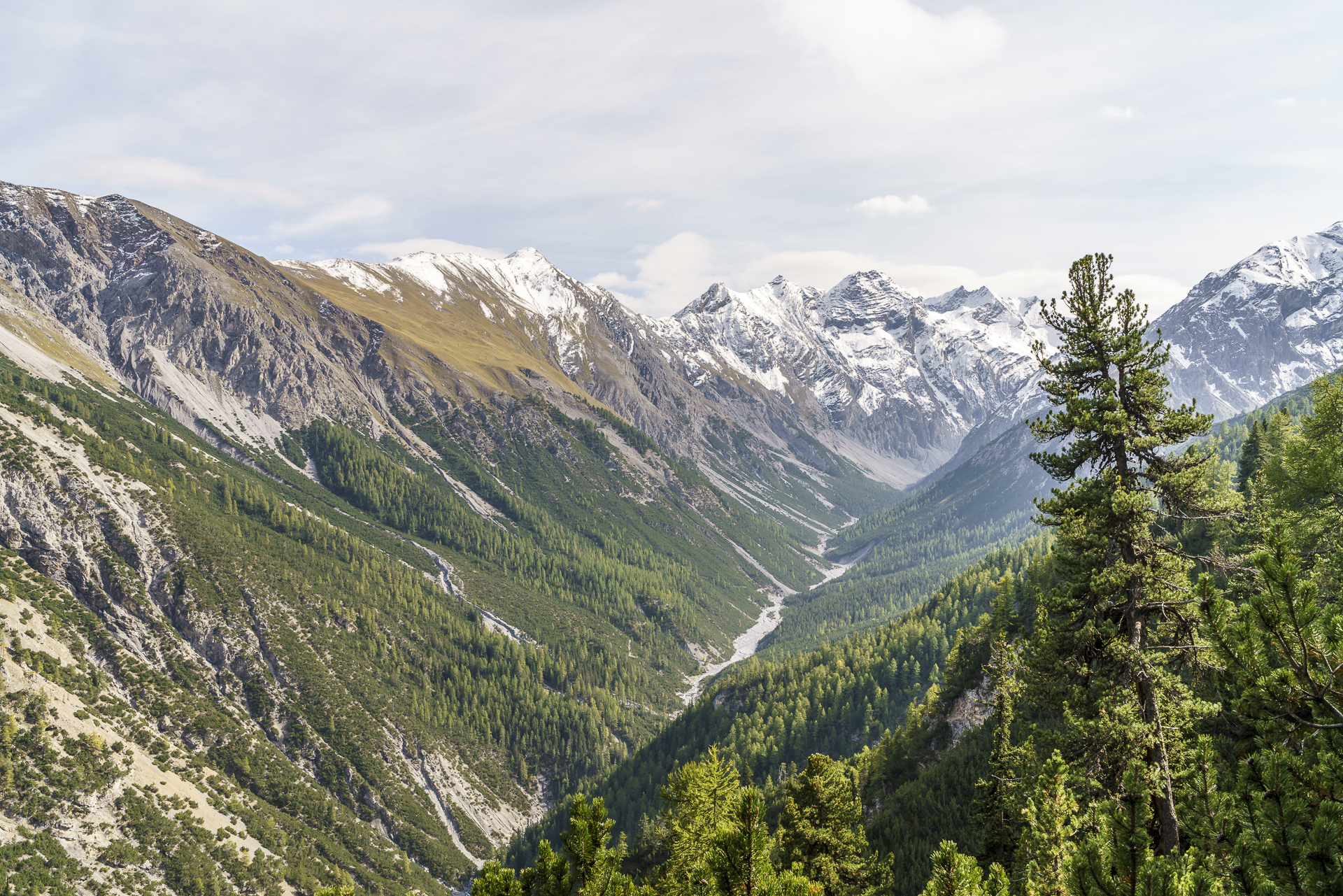 Val Cluozza Engadin