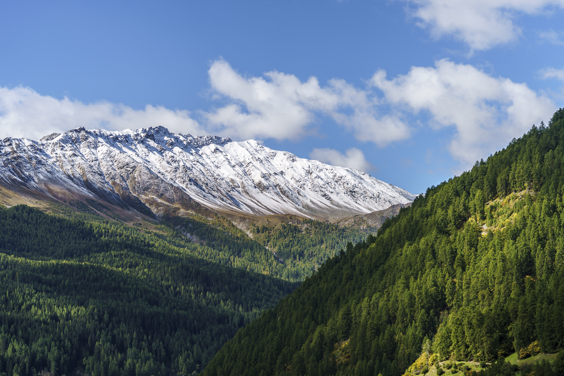 Münstertal Panorama