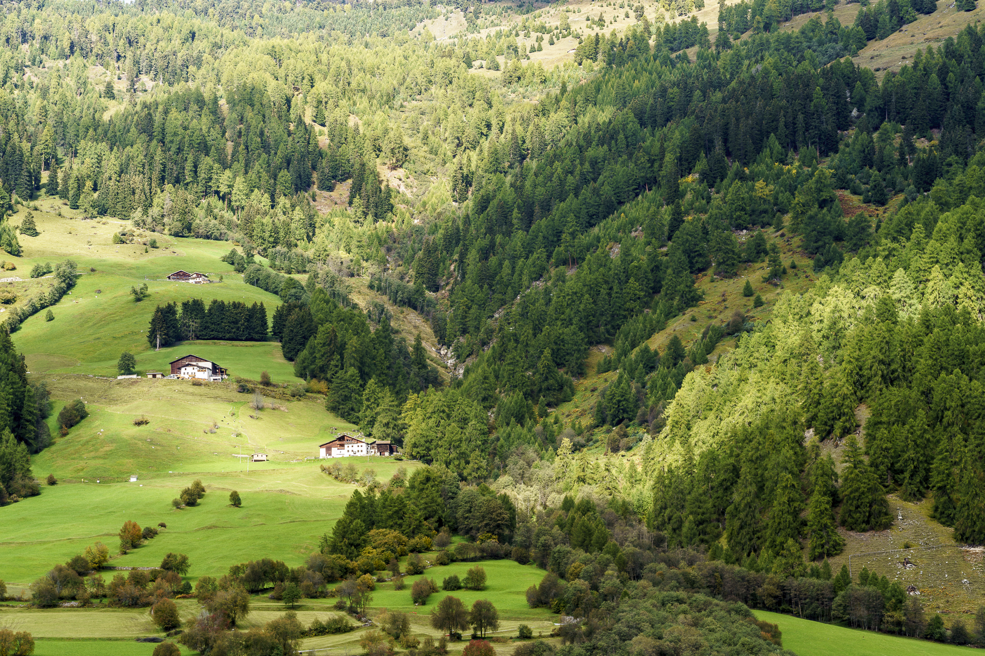 Münstertal Pütschai Josom