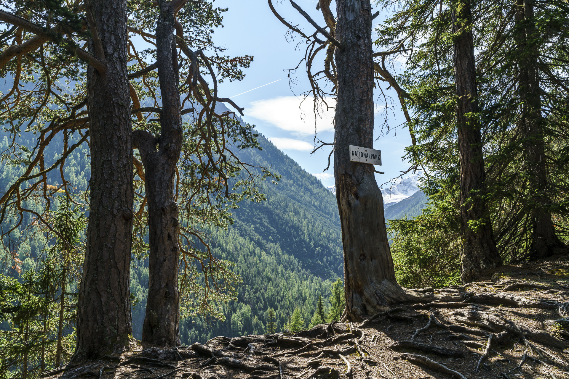 Schweizerischer Nationapark